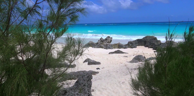 08:00: Planet Schule: Boston to Bermuda - Bermuda or Boston? | WDR Fernsehen | 2/9 2026