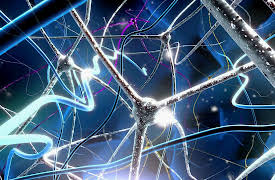 The Brain that Changes Itself: Rewiring the Brain