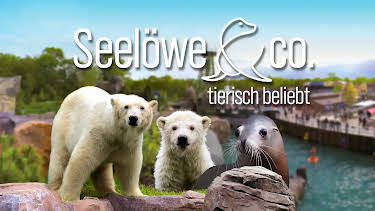 16:00: Seelöwe & Co. - tierlisch beliebt | NDR Fernsehen | 5/23 2026