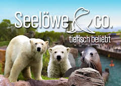 Seelöwe & Co. - tierisch beliebt
