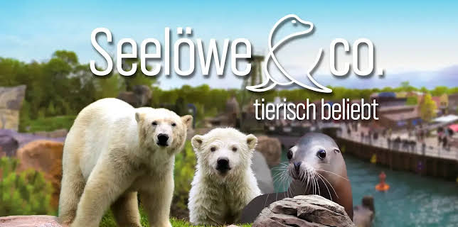 17:10: Seelöwe & Co. - tierisch beliebt | Radio Bremen | 12/8 2025