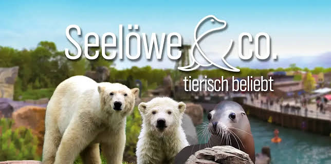 Seelöwe & Co. - tierisch beliebt