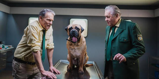 09:05: Hubert ohne Staller | Das Erste | 11/19 2025