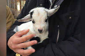 Living Big Sky Season 1: Newlyweds in Bozeman