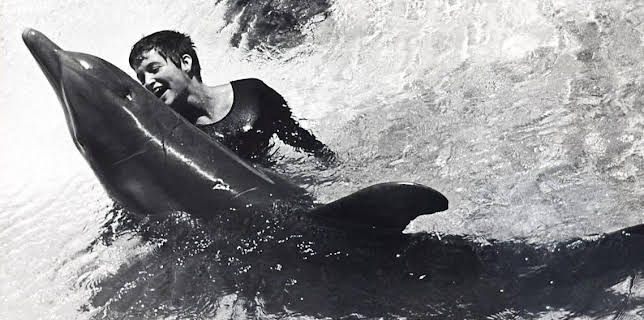 11:20 PM: The Girl Who Talked to Dolphins | BBC Four | 3/24 2026