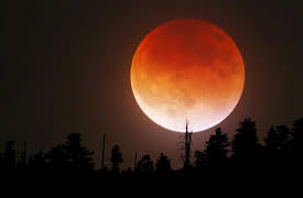 Understanding the Universe: An Introduction to Astronomy, 2nd Edition: Lunar Phases and Eerie Lunar Eclipses