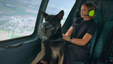 18:45: Animal Takeoff – Sturzflug mit Hund | BR Fernsehen | 6/4 2026