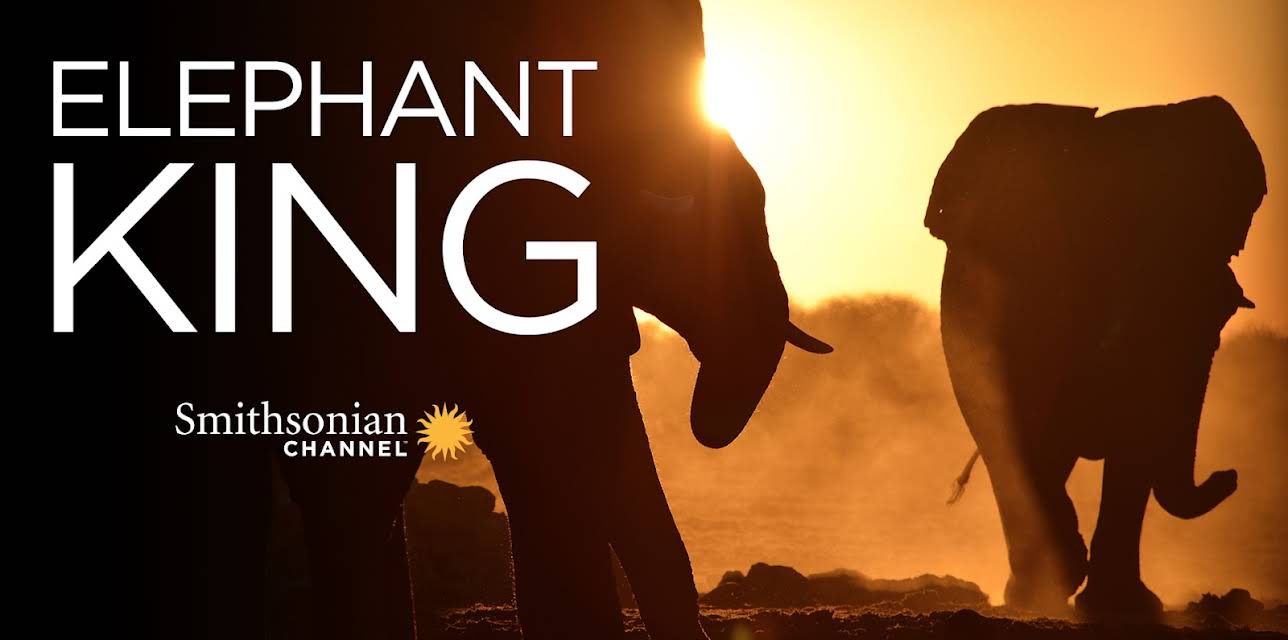 Elephant King (2013)