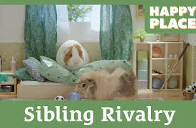Happy Place: Sibling Rivalry