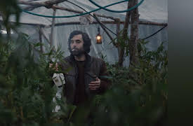 Top of the Lake: China Girl Season 1: Chapter 2