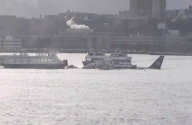 When Vacations Attack!: Episode 15