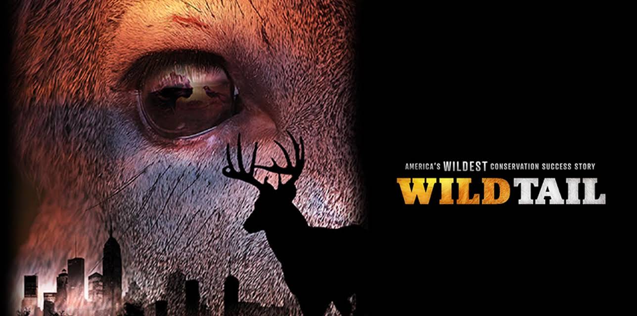 WildTail (2023)
