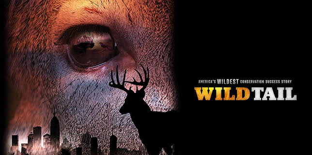 WildTail (2023)