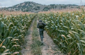 LOBO: Aunque fueras feo