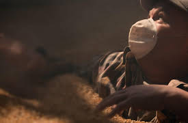 The Day my Job Tried to Kill Me: Soybean Silo