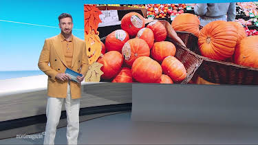 09:00: Nordmagazin | NDR Fernsehen | 10/12 2026