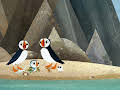 Puffin Rock