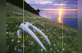 The National Geographic Guide to Landscape and Wildlife Photography: Four Kinds of Light in Landscapes