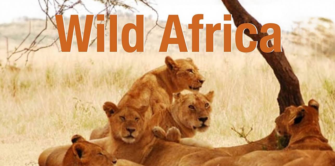 Wild Africa (2013)