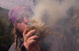 Dual Survival Season 1: Panic in the Jungle