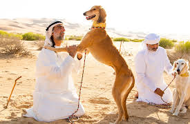 Dogs: The Untold Story: Episode 3