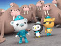 Octonauts