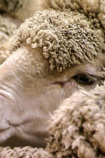 22:30: ¿Cómo lo hacen?: Episodio 15 | Discovery Max | 1/27 2026