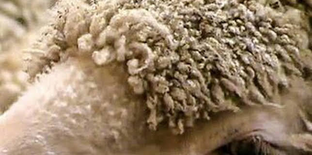 21:30: ¿Cómo lo hacen?: Episodio 15 | Discovery Max | 1/27 2026