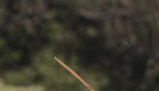 Aventura en pelotas XL: Peso muerto