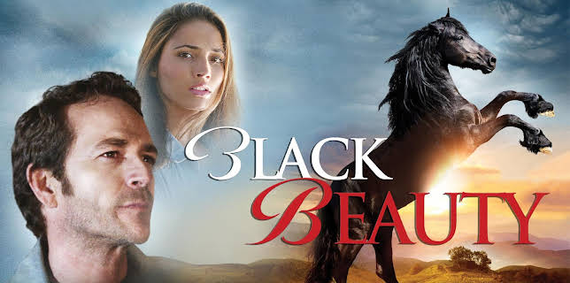 Black Beauty (2015)