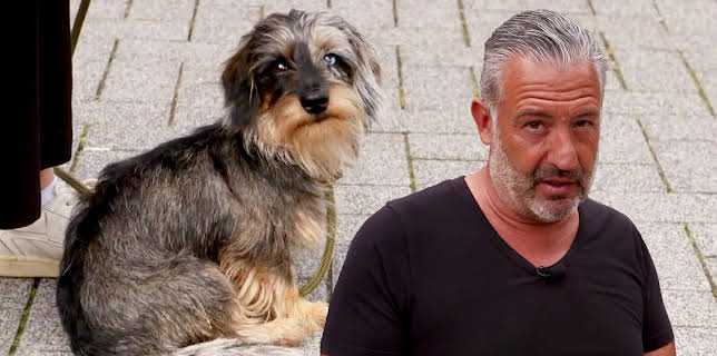 11:10: Hunde verstehen! | WDR Fernsehen | 2/23 2026