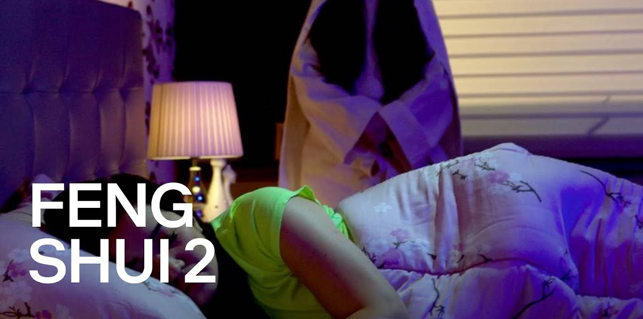 Feng Shui (2014)