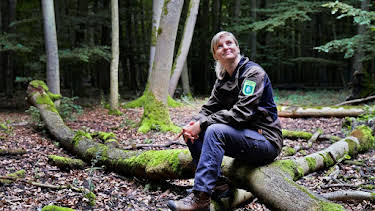 23:35: Mein Wald | SR Fernsehen | 9/24 2026