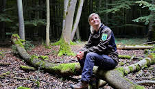 Mein Wald