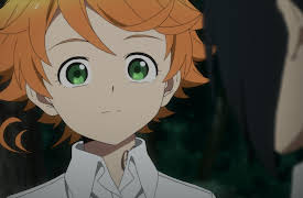 The Promised Neverland: Season 1: 301045