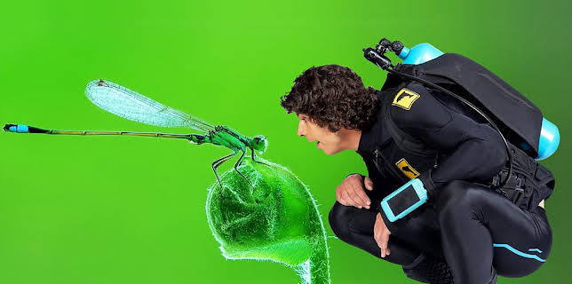 2:25 PM: Andy's Aquatic Adventures (S1) | Cbeebies | 12/10 2025