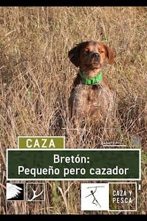 20:00: Bretón, pequeño pero cazador | Caza y Pesca | 2/18 2026