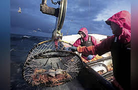 Deadliest Catch Dungeon Cove Season 1: Pacific Fury