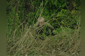 The Forgotten West Memphis Three, Season 1: Making Connections