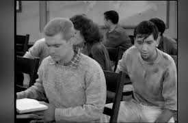 The Many Loves Of Dobie Gillis: Season One: It Takes Two