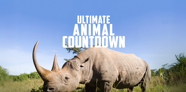 Ultimate Animal Countdown Season 1