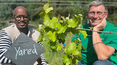 08:30: Yared kommt rum | Radio Bremen | 5/2 2026