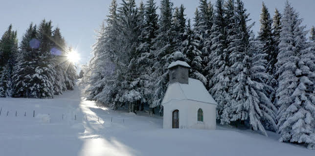 12:15: Winter im Almenland | 3SAT | 11/22 2025