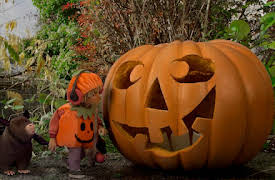 The Sound Collector: Spooky Day | Bat Music