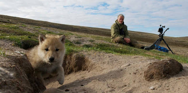 12:45 PM: Snow Wolf Family and Me | BBC Two | 12/28 2025