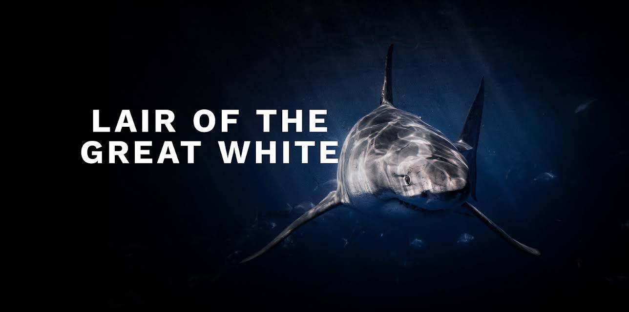 Lair of the Great White