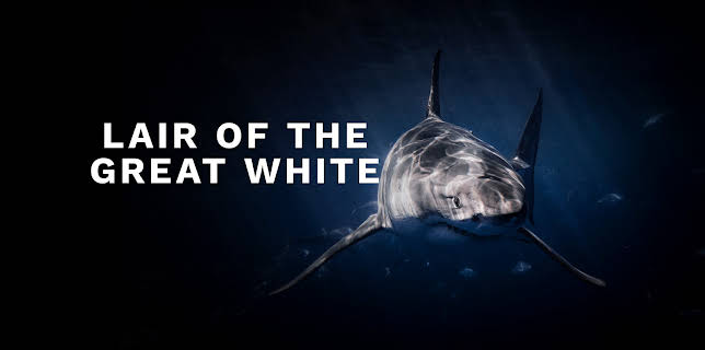 Lair of the Great White