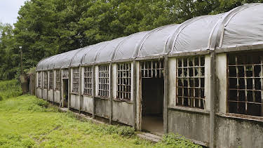 6:10 AM: Abandoned Engineering (S9 E10) (S9) | Yesterday | 7/30 2026