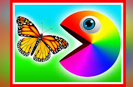 Mr. Chomp: Mr. Chomp explores his Toy Room.