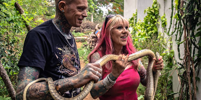 11:00 PM: Snakes In The City | Nat Geo Wild | 11/29 2025